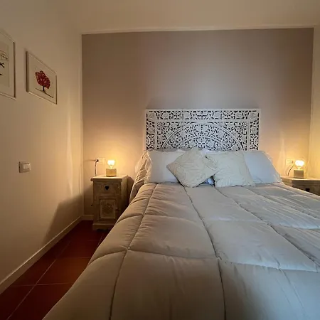 Charmandview * Asís