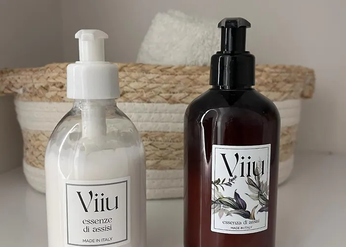 Charmandview * Assisi